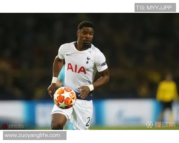 法甲球星卡收藏价值解析与未来市场趋势分析